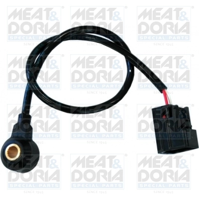 Knock Sensor
